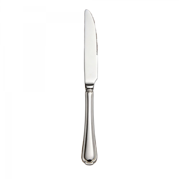 12-Piece Classic European Line Stainless Steel Dinner Knife